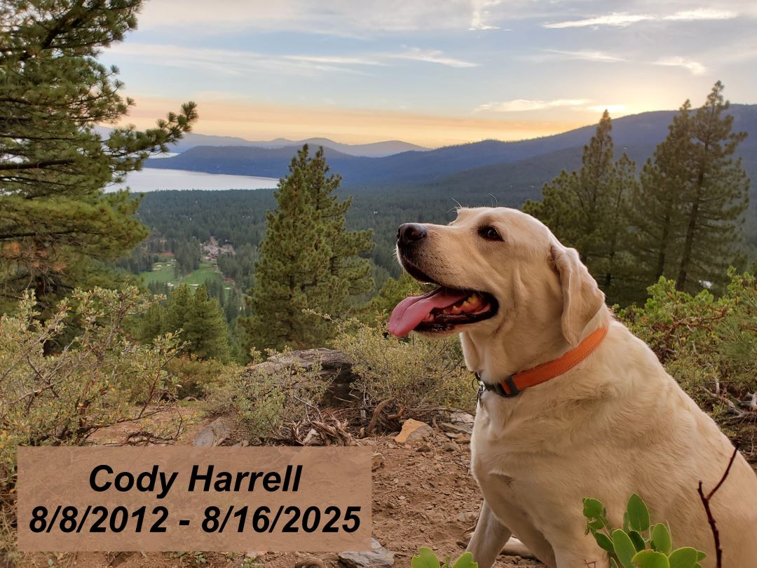 Cody 8/8/2012 - 8/16/2025