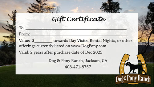 Ranch gift certificate