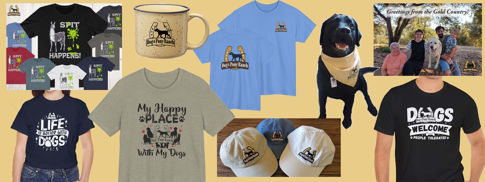 header photo of Dog and Pony Ranch